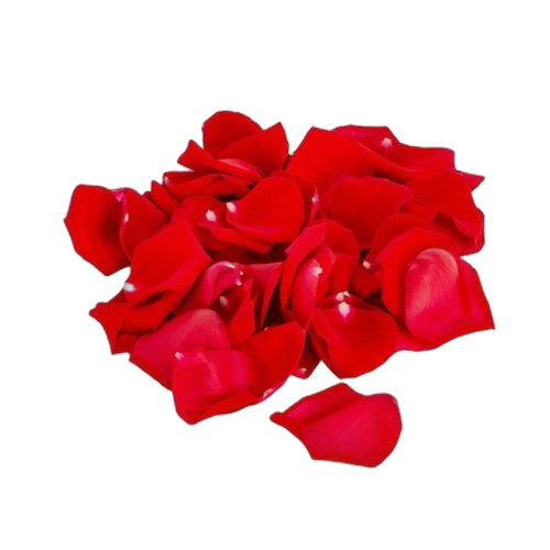 Sachet de 100 pétales de rose en fleur rouge