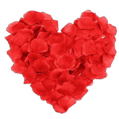 Sachet de 50 pétales de rose en fleur rouge