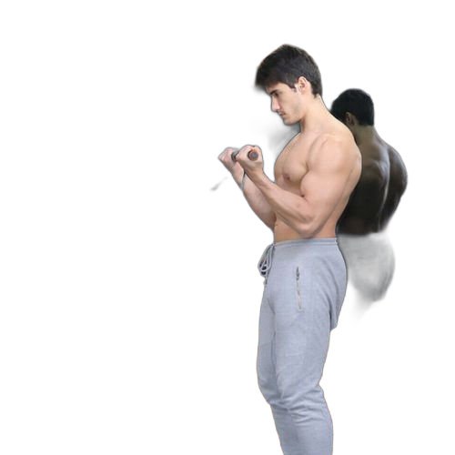 Système de poulie, entraîneur de rouleau de poignet d'avant bras avec système de poulie de levage lat pour triceps, biceps, dos, avant bras, musculation des épaules