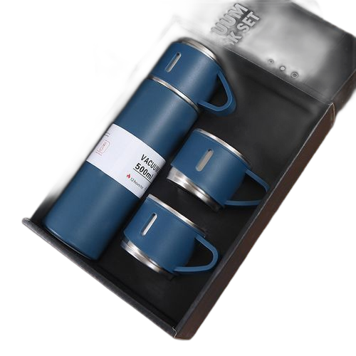 Thermos de luxe à double paroi de 500 ml en acier inoxydable avec boite cadeaunoir