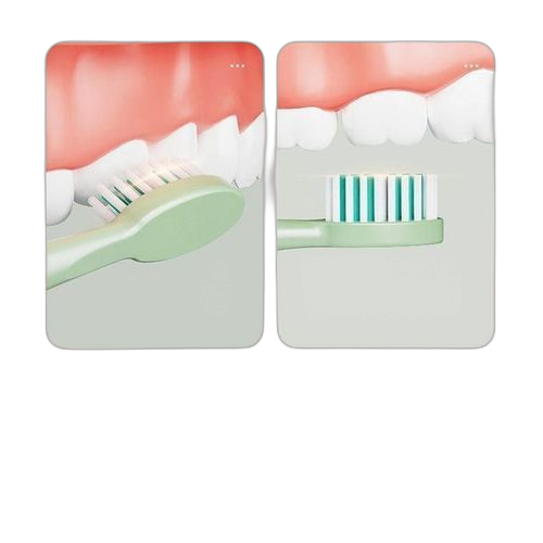 Vert brosse à dents électrique étanche s6 soft hair rechargeable automatique ultrasons ipx7
