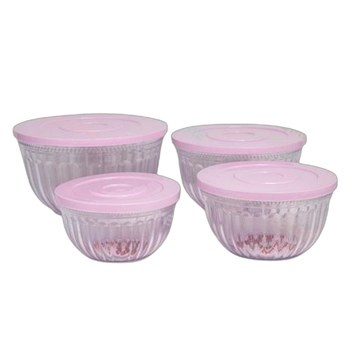 White label lot 4 boîtes en plastique incassable avec couvercles boîte de rangement scellé