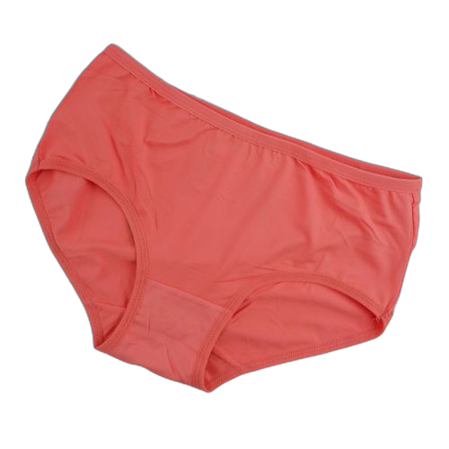 White label lot de 12 slips en cotonmulticolore taille standard