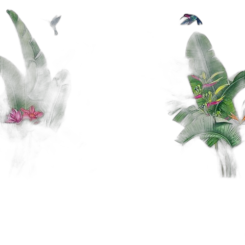 White label sticker 2 plantes avec oiseaux :160 x 100 cm