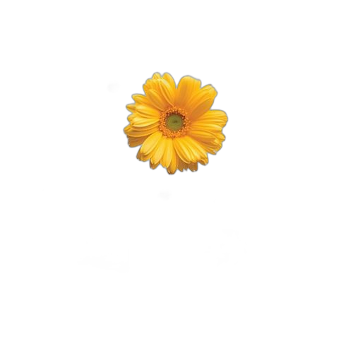 White label sticker autocollant floral jaune