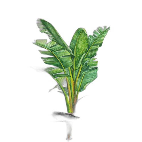 White label sticker plante avec papillons 78*113cm