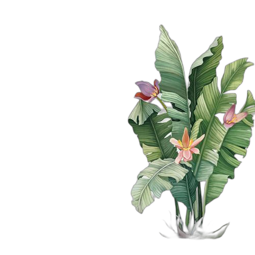 White label sticker plante verte avec oiseaux