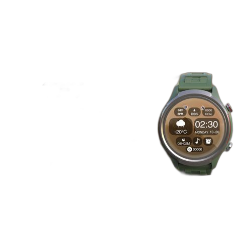 White label wster smart watch ws gs91