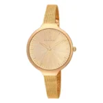 Montre femme radiant o 39 mm_1687. Bienvenue sur DIAYTAR COTE D'IVOIRE - Votre Fenêtre sur le Shopping Moderne. Parcourez notre boutique en ligne et découvrez des produits qui incarnent l'évolution du style et de la qualité.
