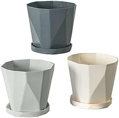 Wish lot de 3 pots de fleurs de 68 pouces en plastique avec soucoupes. Cherchez-vous à économiser tout en achetant des produits de qualité ? DIAYTAR COTE D'IVOIRE  est là pour vous. Notre boutique en ligne généraliste offre une sélection variée de produits discount, allant des équipements pour la maison à l'informatique, en passant par l'électroménager et la mode. Ne payez pas plus cher ailleurs, explorez DIAYTAR COTE D'IVOIRE  pour des bonnes affaires garanties.