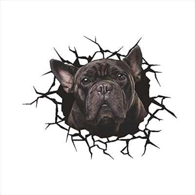 Stickers muraux et peintures murales autocollants chauds trou mignon chien rester chiot. Faites des économies sans compromettre votre satisfaction avec DIAYTAR COTE D'IVOIRE . Notre boutique en ligne propose une variété de produits discount dans différentes catégories, de l'électronique à la mode. Trouvez tout ce dont vous avez besoin à des prix imbattables !