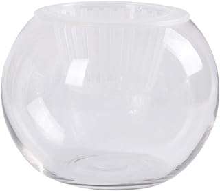 Bol à poisson bulles en verre transparent support pour plantes. Faites un bond dans le monde des bonnes affaires avec DIAYTAR COTE D'IVOIRE  ! Découvrez notre boutique en ligne généraliste où vous trouverez tout ce dont vous avez besoin, de la maison à l'électroménager, de l'informatique à la mode, et même les derniers gadgets. Ne sacrifiez pas votre budget pour vous faire plaisir, optez pour nos produits discount de qualité.