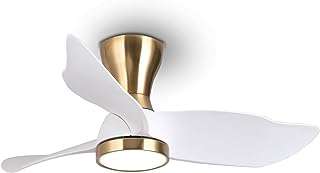 Ventilateur de plafond rega moderne dc de 36 pouces avec lumières à intensité variable et télécommande. Envie de relooker votre espace de travail à moindre coût ? DIAYTAR COTE D'IVOIRE  est votre allié idéal pour l'informatique professionnelle à prix discount. Des ordinateurs de bureau aux imprimantes en passant par les accessoires de bureau, nous vous proposons une gamme complète qui allie performance et économies. Optimisez votre productivité sans compromettre votre budget avec nos offres exceptionnelles !