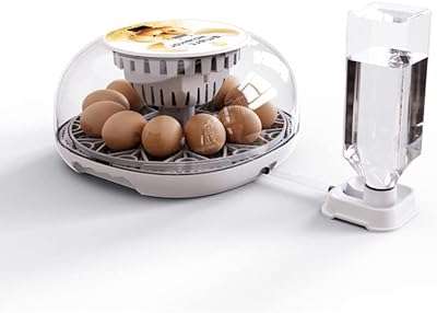 Nouveau mini incubateur d'œufs numérique automatique classique de 12 œufs avec fonction de rotation des et. DIAYTAR COTE D'IVOIRE  révolutionne le shopping en ligne avec sa vaste sélection de produits discount. Trouvez tout ce dont vous avez besoin pour votre maison, des équipements électroménagers aux gadgets high-tech, en passant par les dernières tendances de la mode. Avec DIAYTAR COTE D'IVOIRE, vous pourrez faire des économies tout en profitant de produits de qualité. N'attendez plus et découvrez les avantages de notre boutique en ligne généraliste.