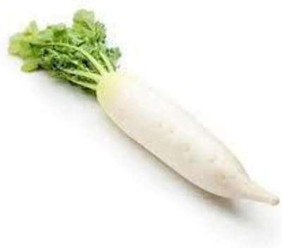 Radis blanc 750g pcs. Besoin de produits à petit prix ? Faites confiance à DIAYTAR COTE D'IVOIRE, la boutique en ligne idéale pour réaliser des économies sur tous vos achats. Parcourez notre catalogue de produits discount, de la maison à l'électroménager, en passant par l'informatique et la mode. Ne vous privez pas et profitez des meilleurs prix du marché en faisant vos emplettes chez nous !