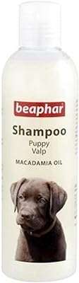 Beaphar shampoing pour chiots à l'huile de macadamia 250 ml. Ne dépensez pas une fortune pour obtenir ce que vous désirez ! Découvrez DIAYTAR COTE D'IVOIRE, votre boutique en ligne de référence pour des produits de qualité, allant de l'électroménager aux accessoires de mode, à des prix défiant toute concurrence.