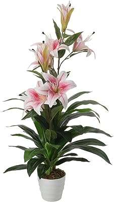 Btggg plantes artificielles grande plante de lys artificiel d'intérieur de 90 cm artificielle réaliste pour bouquet. Découvrez DIAYTAR COTE D'IVOIRE, votre nouvelle destination pour des achats discount en ligne. Parcourez notre large assortiment de produits allant des articles pour la maison aux appareils électroniques, en passant par la mode et les gadgets, et bénéficiez de réductions incroyables. Ne cherchez plus ailleurs, nous avons tout ce qu'il vous faut à des prix compétitifs.