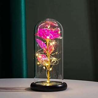 Cadeau de roses galaxie par monoj fleurs artificielles colorées cadeau pour toujours dans un dôme. Rencontrez les bonnes affaires chez DIAYTAR COTE D'IVOIRE  – votre destination en ligne pour des produits discount pour tous les aspects de votre vie. Découvrez notre sélection variée d'articles pour la maison, allant des appareils électroménagers indispensables aux éléments décoratifs élégants. Restez connecté avec notre gamme d'appareils informatiques à prix imbattables, et ravivez votre style avec des vêtements et accessoires tendance à petit prix. Faites des économies tout en obtenant la qualité que vous méritez !