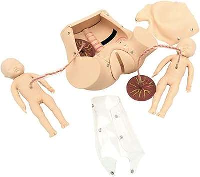 Ensemble de démonstration de travail et de naissance sur modèle humain simulateur d'accouchement. Vous cherchez des produits de qualité à petit prix ? Ne cherchez plus ! DIAYTAR COTE D'IVOIRE  est votre destination en ligne pour tous vos besoins discount. Explorez notre sélection variée, allant de la maison à l'électroménager, de l'informatique à la mode et aux gadgets, et découvrez des offres exceptionnelles qui correspondent à votre budget. Faites des économies sans compromettre la qualité avec DIAYTAR COTE D'IVOIRE .