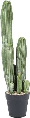 Plantes de cactus artificielles artificiel en pot de 24 pouces pour la maison le bureau. Découvrez DIAYTAR COTE D'IVOIRE, la boutique en ligne qui vous propose une large gamme de produits discount, de l'électroménager à la mode en passant par l'informatique. Bénéficiez de prix avantageux et d'une expérience de shopping en ligne pratique et économique.
