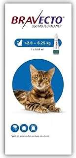 Solution xyl spot on pour chats de taille moyenne par prafecto (28. Avec DIAYTAR COTE D'IVOIRE, profitez de tarifs attractifs sur une large gamme de produits discount. Équipez votre maison avec des appareils électroménagers de qualité, restez à la pointe de la mode grâce à notre sélection de vêtements abordables et découvrez les dernières innovations technologiques à prix réduits.