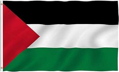 Drapeau national de la palestine extérieur ou intérieur 3x5ft 90x150cm supporter du pays. DIAYTAR COTE D'IVOIRE  - La solution idéale pour des achats discount en ligne. Explorez notre gamme complète de produits pour la maison, l'électroménager, l'informatique, la mode et les gadgets, et bénéficiez de tarifs compétitifs. Simplifiez votre expérience d'achat avec notre boutique en ligne conviviale et découvrez des offres imbattables.
