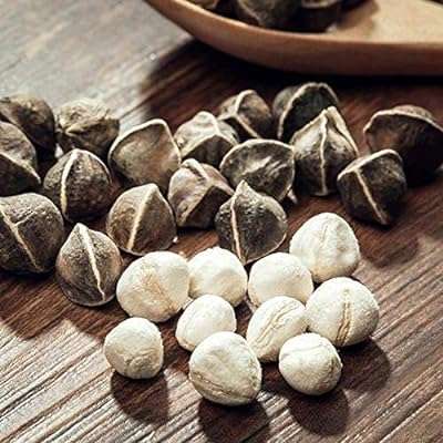 50 pièces sac de graines de moringa à saveur condensée sans ogm jardin saines pour cour. DIAYTAR COTE D'IVOIRE, votre destination en ligne pour des produits discount de qualité. Avec notre large choix de produits allant de la maison à la technologie, en passant par la mode et les gadgets, vous êtes assuré de trouver tout ce dont vous avez besoin à des prix défiant toute concurrence.