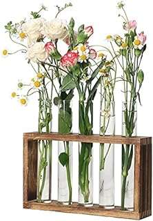 Pot de plante en verre avec support de bourgeon de fleur en bois moderne hydroponique pour jardin. Trouvez tout ce dont vous avez besoin à des prix incroyables sur DIAYTAR COTE D'IVOIRE  ! Notre large gamme de produits discount comprend des articles pour la maison, de l'électroménager à l'informatique en passant par la mode et les gadgets de pointe. Explorez nos offres variées et redécorez votre espace avec style, équipez-vous des dernières technologies, ou mettez à jour votre garde-robe sans vous ruiner. Profitez de la commodité de nos achats en ligne avec des options de livraison rapides et fiables !