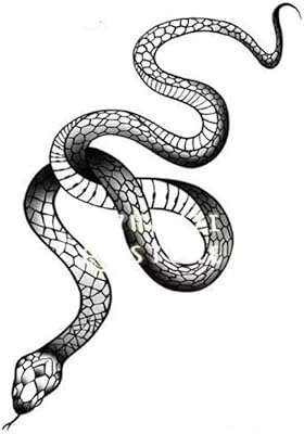 Autocollants de tatouage temporaire serpent noir pour femmes hommes taille du corps. DIAYTAR COTE D'IVOIRE  - votre guichet unique pour des achats discount en ligne. Parcourez notre catalogue diversifié et trouvez des produits de qualité à des prix incroyables. Avec notre large sélection allant de la maison à l'informatique en passant par l'électroménager, vous trouverez toujours ce dont vous avez besoin chez nous.