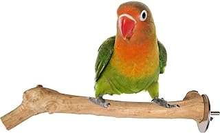 Support à oiseaux en bois java xs pour très petits perroquets. DIAYTAR COTE D'IVOIRE  est votre destination en ligne pour trouver une vaste sélection de produits à prix réduits. Que vous recherchiez des articles pour la maison, des appareils électroménagers de qualité, du matériel informatique ou même des accessoires de mode tendance, vous êtes sûr de trouver les meilleures affaires chez nous !