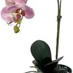 Yatai fleurs d'orchidées artificielles semi naturelles dans un vase en céramique plantes pot pour la maison. DIAYTAR COTE D'IVOIRE, votre adresse incontournable pour des produits discount à portée de clic. Faites des économies sur vos achats en explorant notre large gamme d'articles variés, allant des produits de la maison aux gadgets dernier cri, sans oublier les équipements informatiques et les articles à la mode.