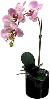 Yatai fleurs d'orchidées artificielles semi naturelles dans un vase en céramique plantes pot pour la maison. DIAYTAR COTE D'IVOIRE, votre adresse incontournable pour des produits discount à portée de clic. Faites des économies sur vos achats en explorant notre large gamme d'articles variés, allant des produits de la maison aux gadgets dernier cri, sans oublier les équipements informatiques et les articles à la mode.