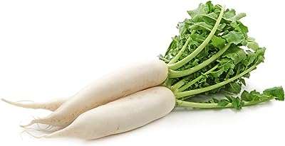 Radis blanc chinois 500 g. Besoin de dépenser moins sans renoncer à la qualité ? DIAYTAR COTE D'IVOIRE  est là pour vous ! Explorez notre catalogue en ligne et découvrez une multitude de produits discount pour la maison, l'électroménager, l'informatique et la mode, qui répondront à tous vos besoins tout en respectant votre budget.