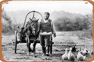 Topol violon sur le toit panneau vintage en métal décoration murale amusante pour la. Préparez-vous à des économies massives avec DIAYTAR COTE D'IVOIRE . Nous offrons une sélection variée de produits discount, allant des articles ménagers aux gadgets en passant par l'électronique et la mode. Achetez intelligemment et profitez de prix avantageux sur tous vos achats chez nous.