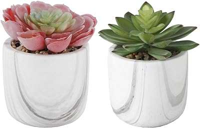 Flora panda ensemble de 2 plantes succulentes artificielles dans un pot en céramique. DIAYTAR COTE D'IVOIRE  - votre solution tout-en-un pour des achats discount en ligne ! Découvrez notre gamme finale de produits, allant des indispensables de la maison aux dernières tendances de la mode et de la technologie. Obtenez les meilleurs prix sur une sélection variée d'articles, vous permettant de réaliser d'énormes économies tout en profitant de produits de qualité. Avec des options de livraison flexibles et une satisfaction garantie, nous faisons de votre expérience d'achat un jeu d'enfant !