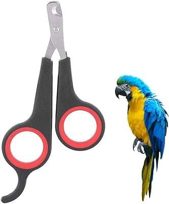 Coupe ongles momo bear pour oiseaux petits et perroquets et animaux de compagnie. Découvrez DIAYTAR COTE D'IVOIRE, votre nouveau repère en ligne pour des achats malins à prix réduit. Parcourez notre catalogue diversifié de produits discount, allant de l'électroménager à l'informatique, en passant par la mode et les gadgets. Obtenez les meilleures offres sans sacrifier la qualité, le tout dans le confort de votre foyer.