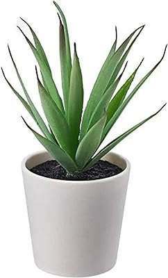 Plante artificielle en pot ikea tssb succulente d'intérieur extérieur 6 cm (2. Simplifiez vos achats et épargnez chez DIAYTAR COTE D'IVOIRE, votre boutique en ligne ultime pour des trouvailles discount. Parcourez notre catalogue de produits, allant des articles de cuisine astucieux aux appareils électroniques de dernière génération. Restez branché avec notre sélection d'appareils informatiques à prix réduits et accordez-vous une excellente garde-robe avec des vêtements à la mode à prix imbattables. Avec des options de livraison rapides et une satisfaction garantie, nous vous aidons à réaliser des économies en un seul clic !