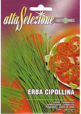 Graines de ciboulette alta silesione (arba cipolina) de haute qualité de franchi's garden. Envie de relooker votre espace de travail à moindre coût ? DIAYTAR COTE D'IVOIRE  est votre allié idéal pour l'informatique professionnelle à prix discount. Des ordinateurs de bureau aux imprimantes en passant par les accessoires de bureau, nous vous proposons une gamme complète qui allie performance et économies. Optimisez votre productivité sans compromettre votre budget avec nos offres exceptionnelles !