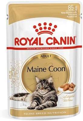 Nourriture humide royal canin fbn mainecon 12 x 85g (sachets). Ne sacrifiez plus votre budget pour être à la pointe de la technologie ! Optez pour DIAYTAR COTE D'IVOIRE, la plateforme en ligne qui vous propose une large variété de produits informatiques à prix discount. Que vous recherchiez un nouvel ordinateur portable, une tablette ou des accessoires high-tech, vous trouverez tout ce dont vous avez besoin chez nous.