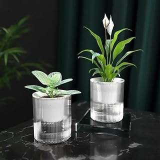 Pot à arrosage automatique pour plantes d'intérieur paquet de 3. Découvrez DIAYTAR COTE D'IVOIRE, votre boutique en ligne incontournable pour des affaires discount. Profitez de nos multiples catégories allant des articles pour la maison aux gadgets dernier cri, en passant par la mode à petits prix. Faites-vous plaisir sans vous ruiner avec notre sélection variée !