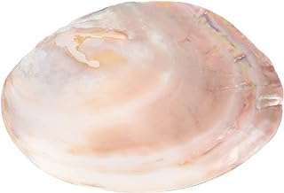 Alipis 1 pièce assiette en coquillage naturel décor de commode plateau. Faites des économies avec DIAYTAR COTE D'IVOIRE, votre boutique en ligne discount préférée. Parcourez notre sélection complète d'articles allant des équipements électroménagers aux produits informatiques en passant par la mode et les gadgets. Profitez de nos promotions régulières et découvrez des prix incroyables sans jamais sacrifier la qualité.