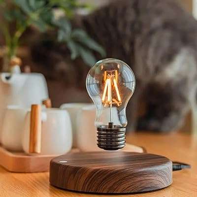 Ampoule flottante en tungstène. DIAYTAR COTE D'IVOIRE  - Votre destination en ligne pour des offres discount sur tout ! Parcourez notre vaste sélection de produits pour équiper votre maison avec des électroménagers, des articles de mode tendance et même des gadgets technologiques, le tout à des prix incroyables. Ne manquez pas nos super promotions et économisez dès aujourd'hui !