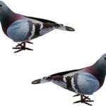 2 pièces décoration de cour réaliste figurine d'animal oiseau magique. DIAYTAR COTE D'IVOIRE  est la référence en matière de produits discount en ligne. Parcourez notre catalogue et trouvez des articles indispensables pour la maison, des appareils électroménagers de qualité, des solutions informatiques abordables, des vêtements tendance et des gadgets à des prix incroyables.