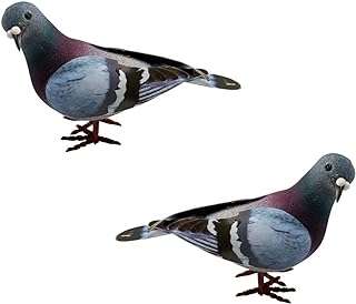 2 pièces décoration de cour réaliste figurine d'animal oiseau magique. DIAYTAR COTE D'IVOIRE  est la référence en matière de produits discount en ligne. Parcourez notre catalogue et trouvez des articles indispensables pour la maison, des appareils électroménagers de qualité, des solutions informatiques abordables, des vêtements tendance et des gadgets à des prix incroyables.