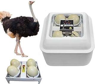 Incubateur d'œufs d'autruche 84 œufs de poule 260 caille 4 pièces. DIAYTAR COTE D'IVOIRE  - des réductions incroyables sur tous les produits dont vous avez besoin. Parcourez notre boutique en ligne pour découvrir des offres discount sur des centaines d'articles, allant de la mode aux appareils électroménagers dernier cri.