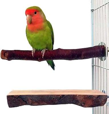 Support à oiseaux en bois naturel v2com pour perruche conure calopsitte inséparable (paquet de 2). DIAYTAR COTE D'IVOIRE  vous offre des produits discount exceptionnels, sans compromis sur la qualité. Parcourez notre sélection variée comprenant des appareils électroménagers fiables, des gadgets innovants et des tendances mode à des prix défiant toute concurrence.