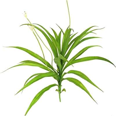 Orchidées vertes artificielles glosstoy feuilles d'orchidées blanches artificielles fleurs branches. Découvrez DIAYTAR COTE D'IVOIRE, la boutique en ligne ultime pour des achats malins. Parcourez notre catalogue où vous trouverez une grande variété de produits discount pour la maison, l'électroménager, l'informatique ainsi que les dernières tendances mode et les gadgets les plus en vogue.
