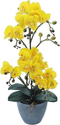 Orchidées artificielles yatai plantes pour la décoration de la maison arrangement fleurs avec vase. DIAYTAR COTE D'IVOIRE, votre destination en ligne pour des achats malins. Parcourez notre vaste sélection de produits discount allant de la maison à l'électronique en passant par la mode et l'informatique. Ne sacrifiez pas la qualité pour le prix lorsque vous pouvez avoir les deux chez nous.