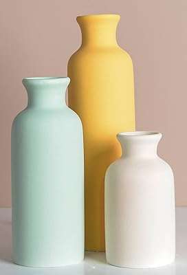 Ensemble de 3 vases en céramique à fleurs décoratifs rustiques pour décoration. DIAYTAR COTE D'IVOIRE, l'adresse incontournable pour tous les amateurs de mode à petit prix. Découvrez notre large sélection de vêtements et accessoires tendances pour hommes et femmes, et exprimez votre style sans vous ruiner. Du casual chic au streetwear, notre boutique en ligne vous offre la possibilité de rester à la pointe de la mode à prix discount. Faites-vous plaisir sans vous soucier du coût !