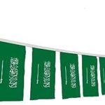 Drapeau de bunting l'arabie saoudite à des fins de décoration au bureau et. Faites des économies sans compromis sur la qualité avec DIAYTAR COTE D'IVOIRE  ! Notre boutique en ligne propose une vaste sélection de produits discount, des appareils électroménagers fiables aux articles de mode tendance, en passant par les équipements informatiques. Trouvez tout ce dont vous avez besoin à des prix défiant toute concurrence.